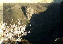 jan202n.jpg (70949 bytes)