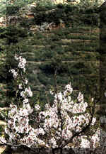 mar2002b.jpg (107018 bytes)