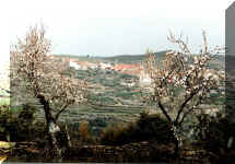mar2002y.jpg (86960 bytes)