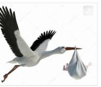 SOFIA MARTIN DO NASCIMENTO